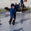 17-01-29eis-ver 6